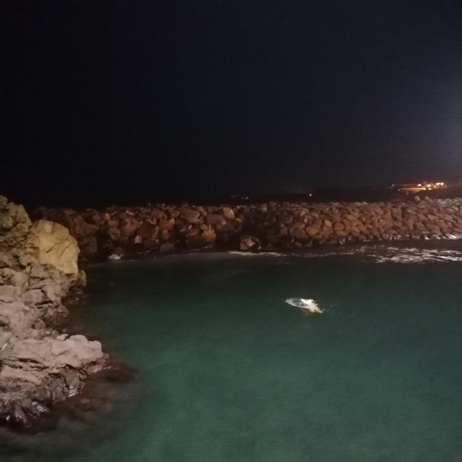 Espaco Roteiro De Mimos เซา วิเซนเต เฟอร์เฮรา ภายนอก รูปภาพ