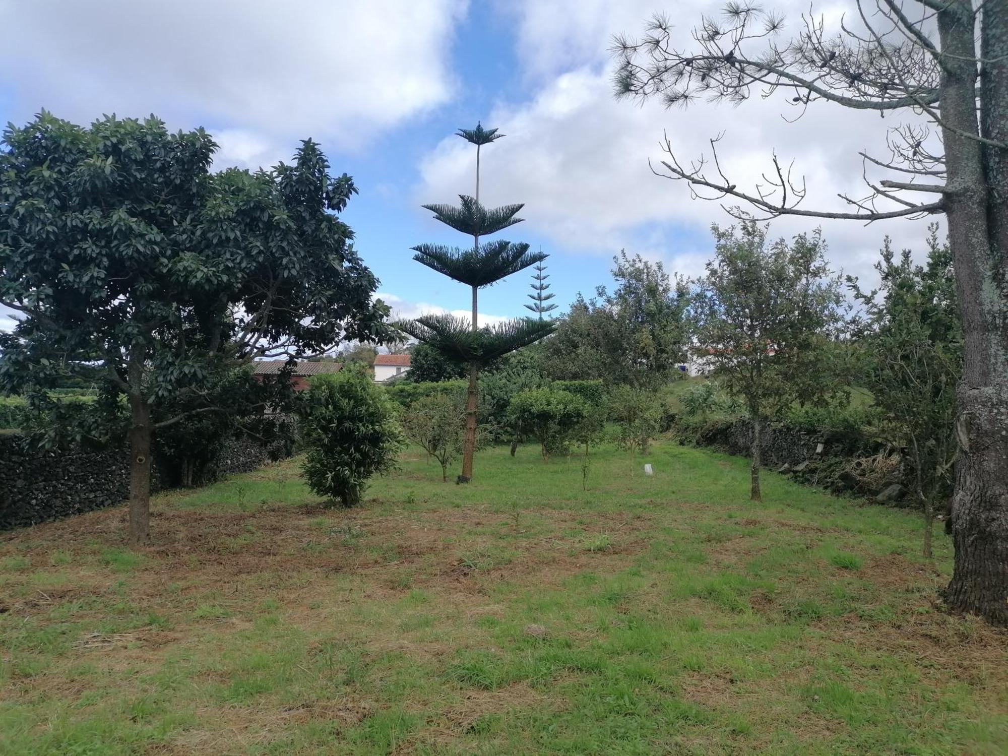 Espaco Roteiro De Mimos เซา วิเซนเต เฟอร์เฮรา ภายนอก รูปภาพ